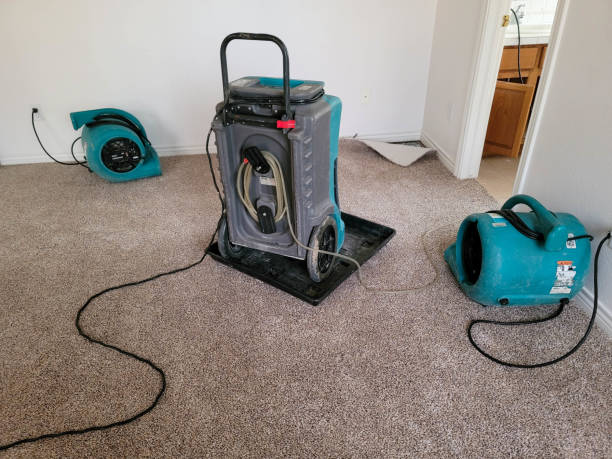  Dwight, IL Water damage restoration Pros