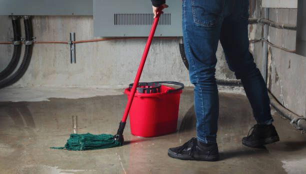 Best Ceiling water damage repair  in Dwight, IL
