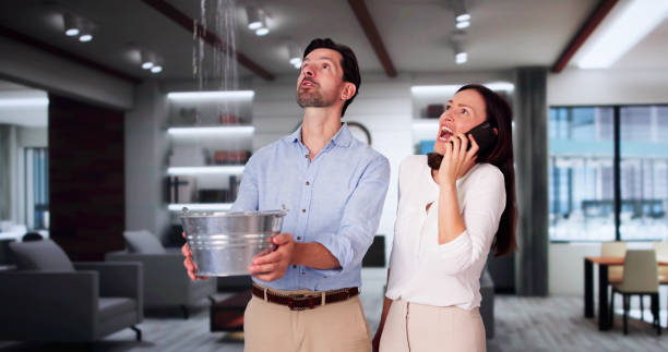 Water damage restoration mold remediation in IL
